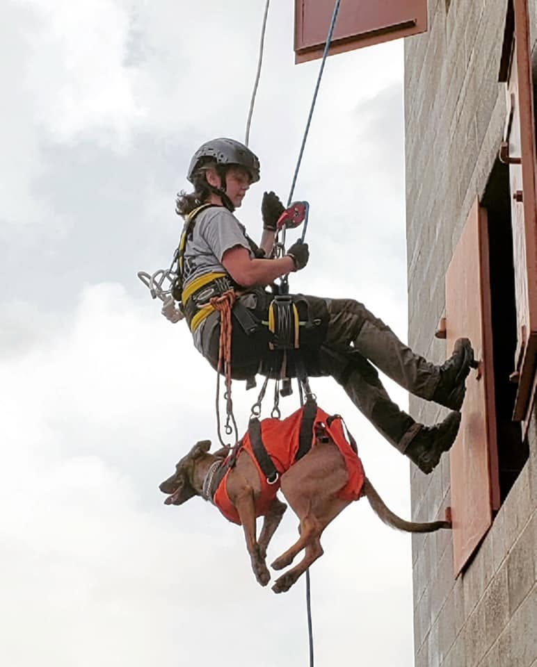 NESAR member rappelling down a tower with a harnessed search dog during technical rescue training